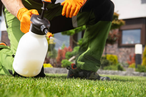 Best Wildlife Control Services  in Mesita, NM