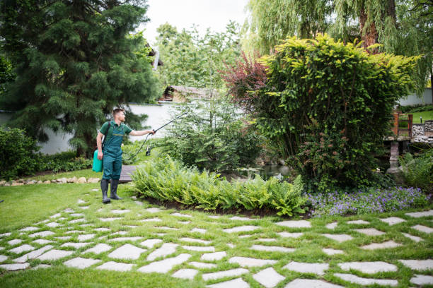Best Pest Control for Businesses  in Mesita, NM