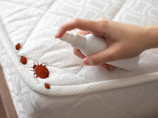 Mesita, NM Pest Control Company